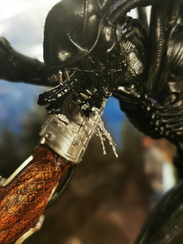 Predator - obrazek 6