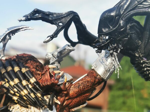 Predator - obrazek 11