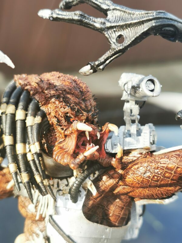 Predator - obrazek 12