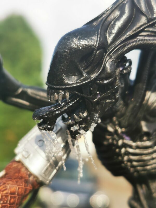Predator - obrazek 13